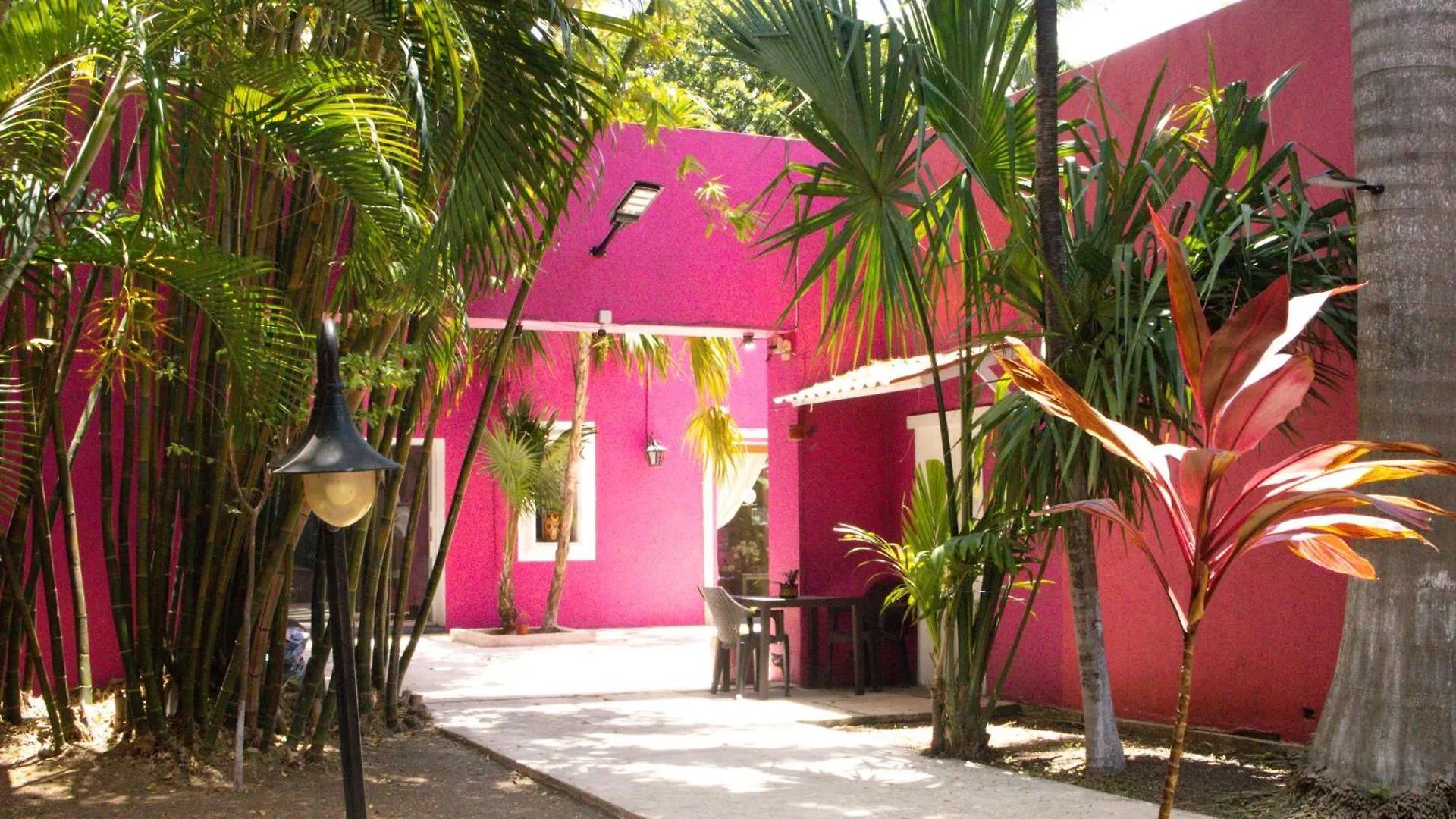 Casa Isabella Hotel Cozumel Mexico