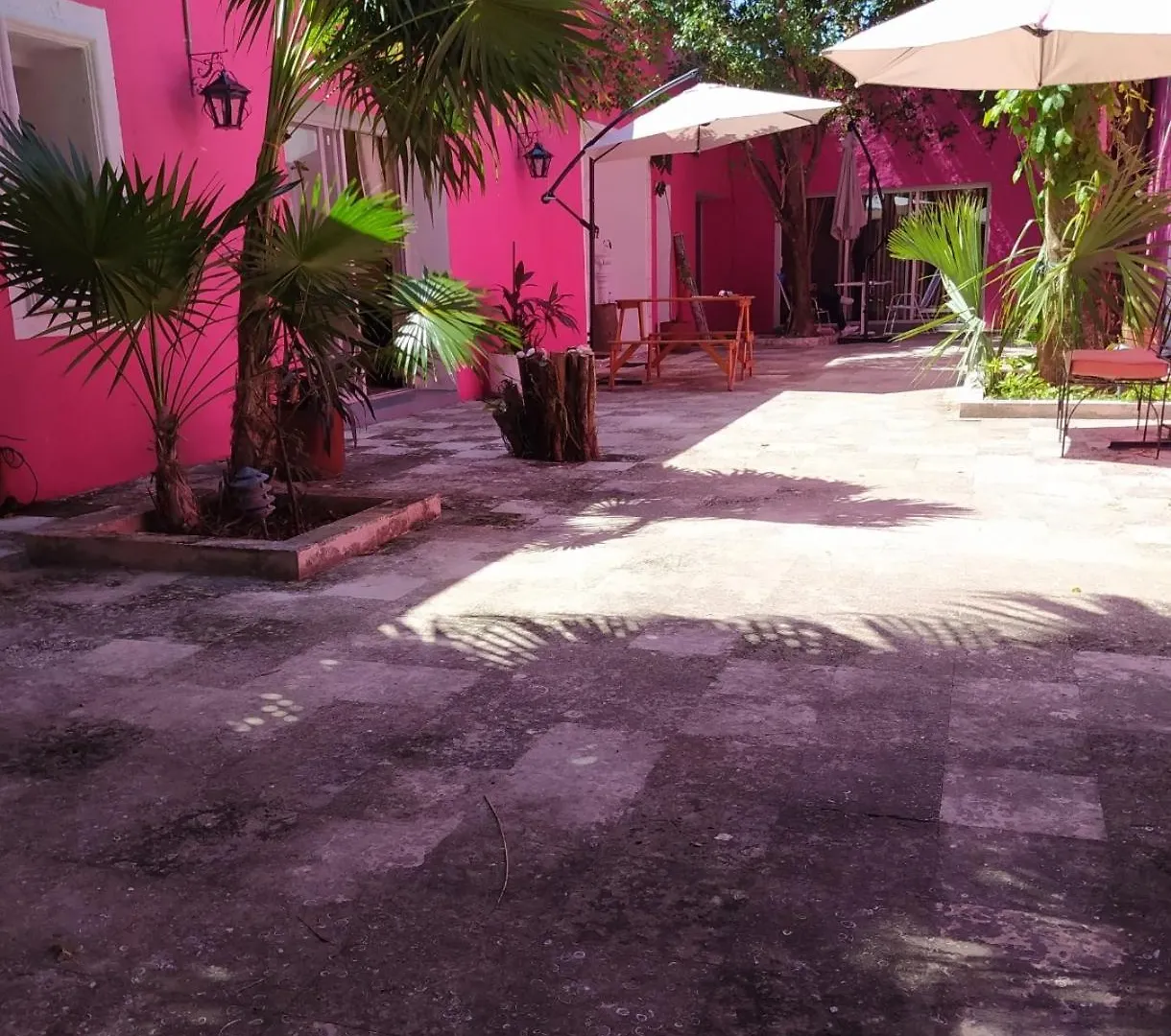 *** Guest house Casa Isabella Hotel Cozumel Mexico