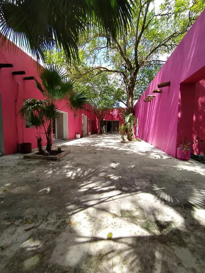 Casa Isabella Hotel Cozumel Guest house